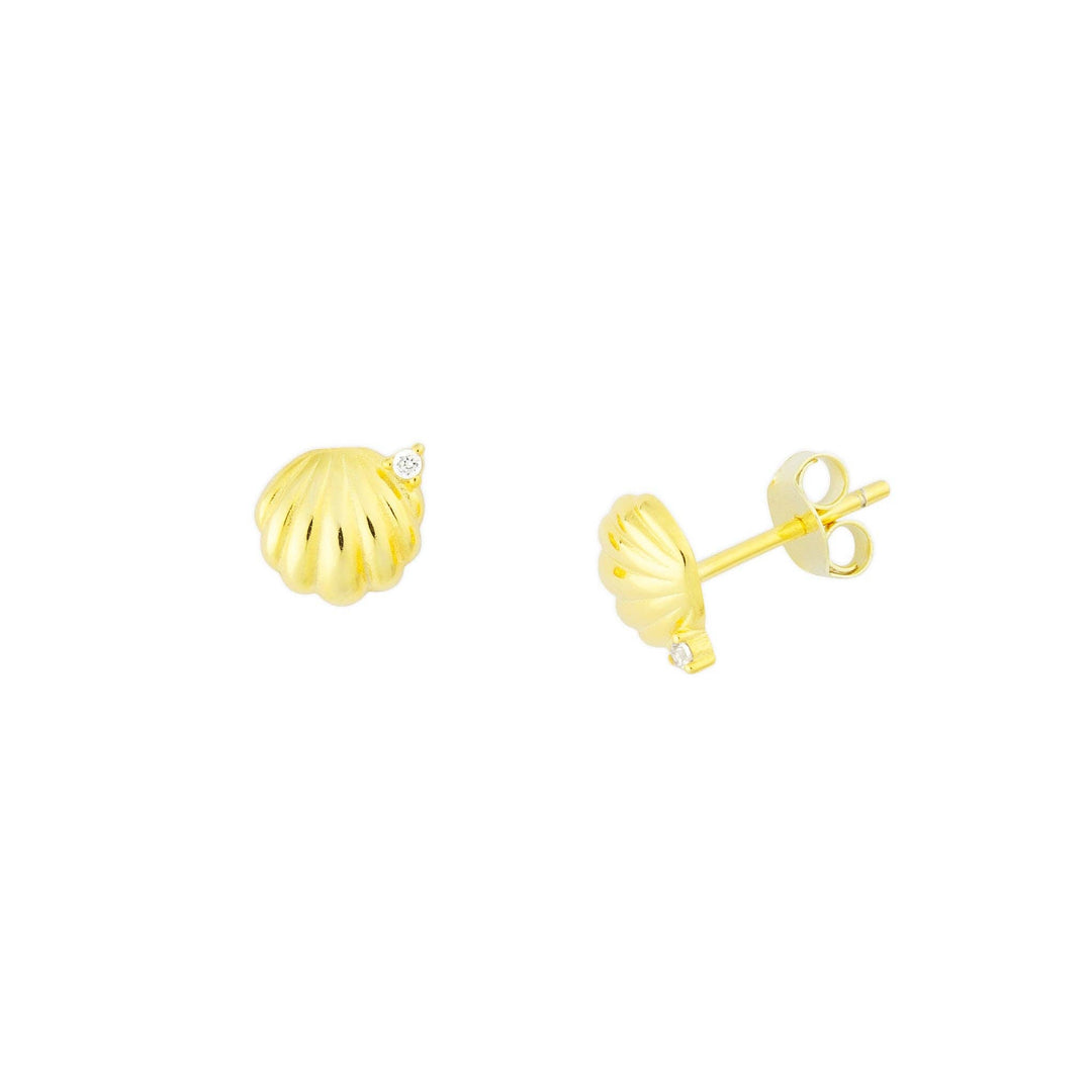 FYBSeashell Studs - Polish Boutique