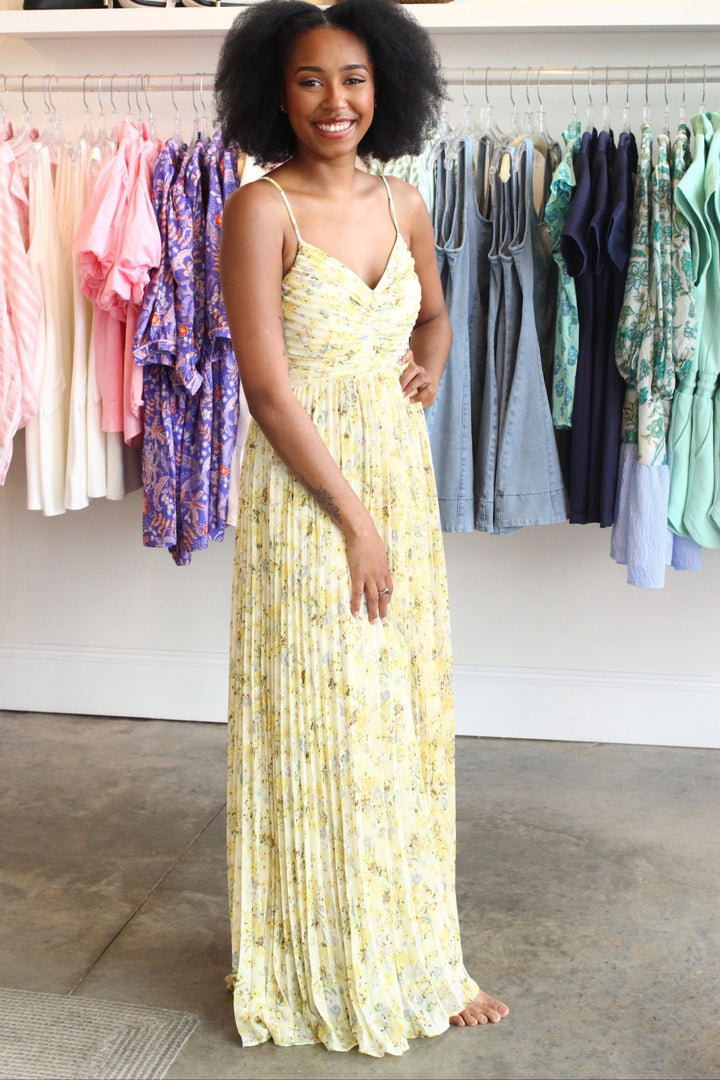 Lucy ParisRose Dress - Polish Boutique