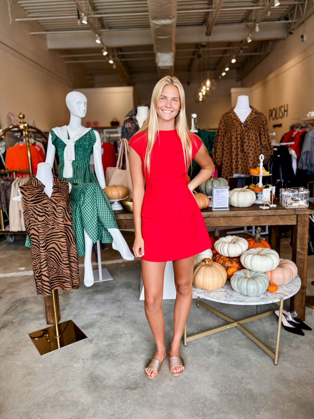 OlivaceousGia Dress - Polish Boutique