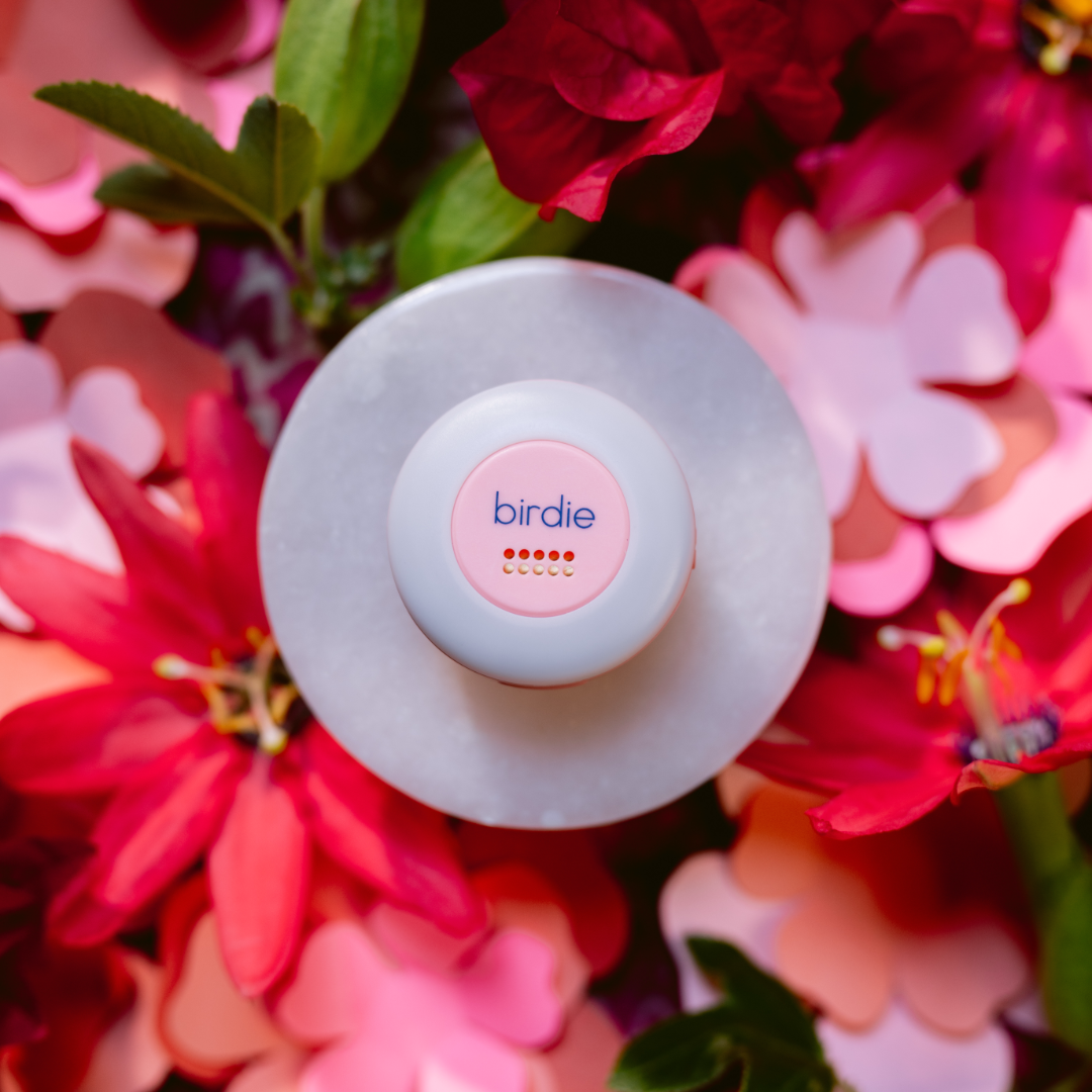 She's BirdieBirdie Disc - Polish Boutique